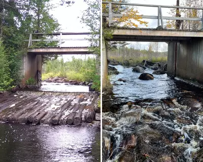 Europe Removes Record 602 River Barriers in 2025 to Restore Wildlife