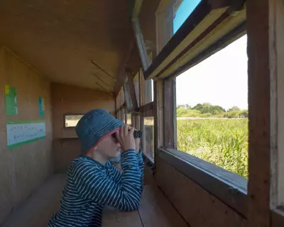 Gen Z Leads Birdwatching Boom as Hobby Sees 47% Rise in Britain