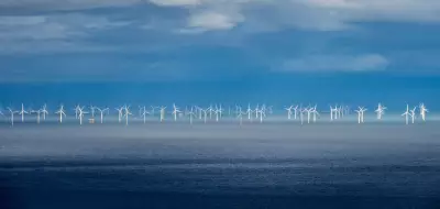 Green Transition Must Accelerate: Carbon Tax and Building Efficiency Key