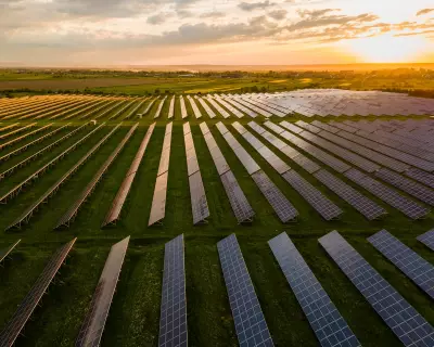 Green Transition: Politicians Must Accelerate Renewables, Households Too