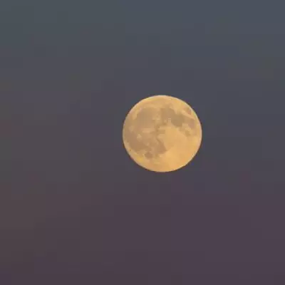 How to See the 'Flower Moon' in London's Skies Tonight