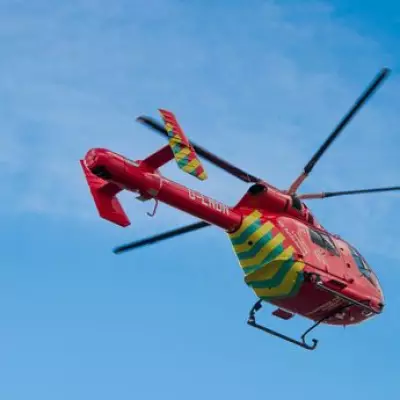 London Bus Driver Critical After Assault on Battersea Bridge