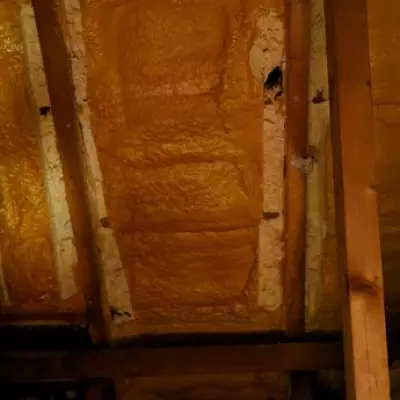 London gran trapped in home after £13k rogue insulation job leaves £20k bill