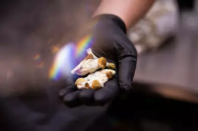Magic Mushrooms Show Promise for Cocaine Addiction in New Trial