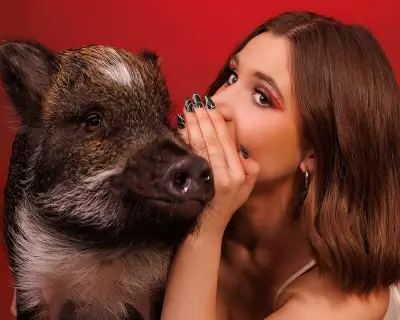 Merlin the Sassy Pig Helped Me Meet My Husband and Changed My Life