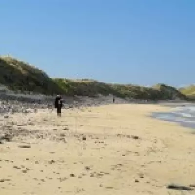 Millions of Mating Flies Swarm Scottish Beach Weeks After Beetle Invasion