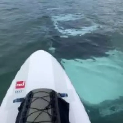 Paddleboarder Discovers Sunken Land Rover Near Bear Grylls' Island