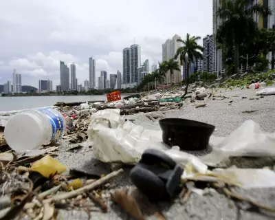 Plastic Food Packaging Dominates Global Coastal Litter, Study Finds