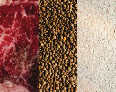 Pros and Cons of Popular Protein Sources: A Balanced Guide