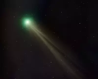 Rare Comet Spotted Over New Zealand Skies in Once-in-a-Lifetime Event
