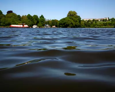 River Thames Gets First Official Bathing Spot in London