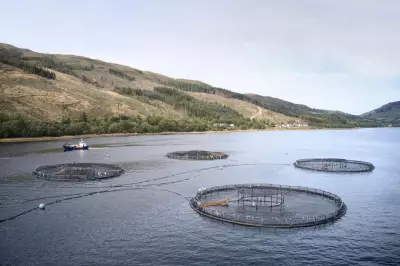 Scottish Salmon Farms Face Same Pollution Crisis as Norway