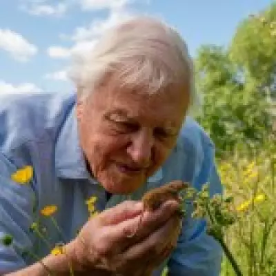 Sir David Attenborough Overwhelmed by Birthday Greetings Ahead of 100th