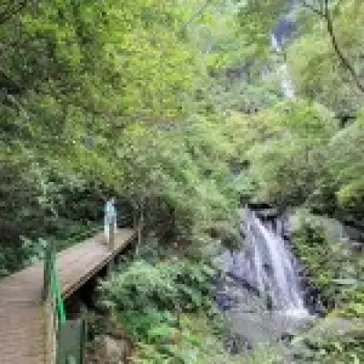 Teen Dies in Waterfall Swing Fall After Warning Ropes Were Loose