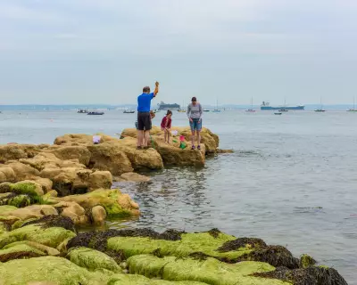 Toxic ‘Forever Chemicals’ Found at High Levels Off Southern England Coast