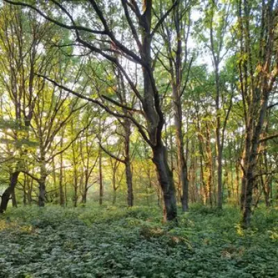 Trent Country Park: North London's Piccadilly Line Gem for Relaxed Walks