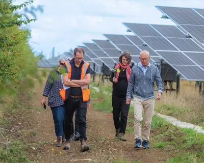 UK's Largest Community Solar Park to Add Battery Storage via Crowdfunding