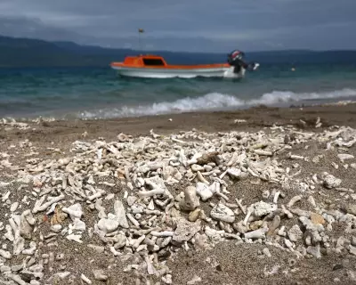 UN Climate Resolution Signals Growing Political Momentum, Experts Say
