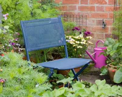 Why I'm Finally Enjoying My Rented Garden After Years of Hesitation