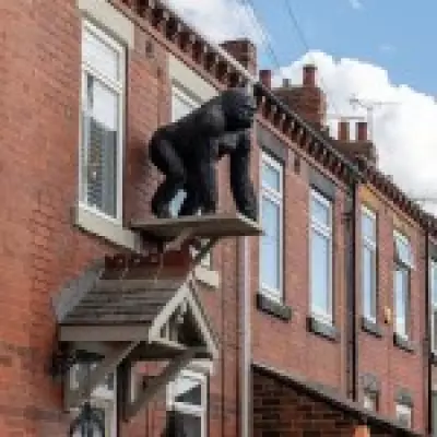 Woman Refuses to Remove 4ft Gorilla Statue Despite £20,000 Fine Threat
