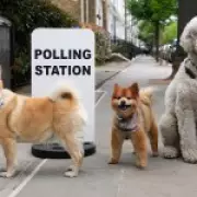 2026 Local Elections: Reform Surges as Labour Faces Losses in Wales and Scotland