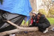 Adelaide Program Street Connect Helps Rough Sleepers Get Noticed