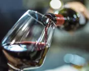Alcohol Reduced My Anxiety but at a Cost: A Personal Letter Response