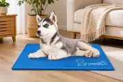 Amazon Self-Cooling Dog Mat: £16 Must-Have for Summer Walks and Heatwaves