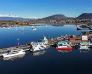 Argentina Faces Hantavirus Scrutiny After Cruise Deaths, Experts Cite Climate Change