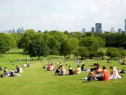 Best Picnic Spots on Hampstead Heath: Views, Ponds & Tips