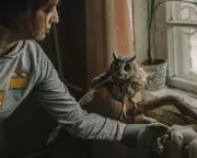 Blinded Owl Becomes Symbol of War's Toll on Ukraine's Birds