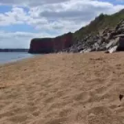 Body of Missing Man, 38, Found on Devon Beach After RNLI Search
