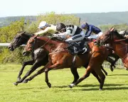 British Trainers Urged to Stay Vigilant as Equine Flu Cases Surge