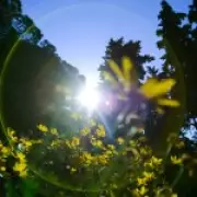 Brits Warned: Heatwave Mistake Could Cost Thousands in Garden Repairs