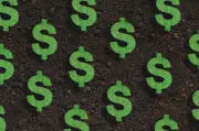 Burnt Investors May Shun Future 'Bobby Jain' Hedge Fund Launches