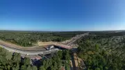 Can Green Bridges Help Animals Cross UK Motorways Safely?