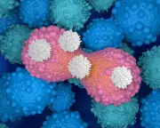 CAR T-Cell Therapy: A Game-Changer in Cancer Treatment with Sam Neill's Remission