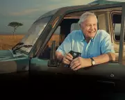 Celebrating Attenborough: A Tribute to the Greatest Broadcaster