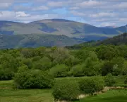 Country Diary: A Walk Through Talybont and Cors Fochno Bog