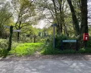 Country Diary: Remembering Lillian Watts, Who Saved Inkpen Common