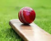 County Cricket Day Three: Hampshire v Notts, Yorkshire v Surrey Updates