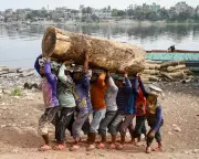 Debt Relief for Poor Nations Could Free $900bn for Development, Report Says