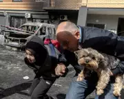 Drone Attacks in Kyiv and Swallow Nestlings: Photos of the Day