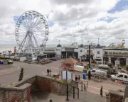 Farage's Clacton Constituency Named England's Worst 'Tree Desert'
