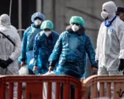 First Passengers Leave Hantavirus-Hit Cruise Ship in Tenerife Evacuation