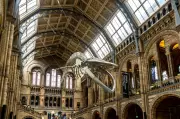 Free London Museum Named One of the World's Greatest Must-Visit Museums