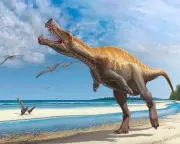 Germany to Return Rare Irritator Dinosaur Skull to Brazil After Decades