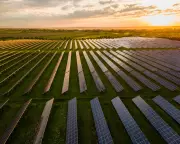 Green Transition: Politicians Must Accelerate Renewables, Households Too