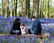 Half of UK Adults Spend Less Than 3 Hours a Week in Nature, Poll Finds
