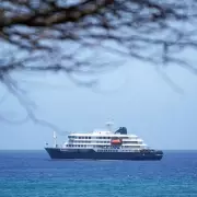 Hantavirus Expert Explains Risk to Public as Brits Self-Isolate After Cruise Ship Outbreak